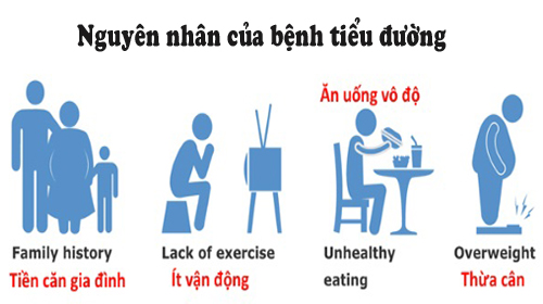 Nguyên nhân của bệnh tiểu đường - Thiết bị y tế giá gốc