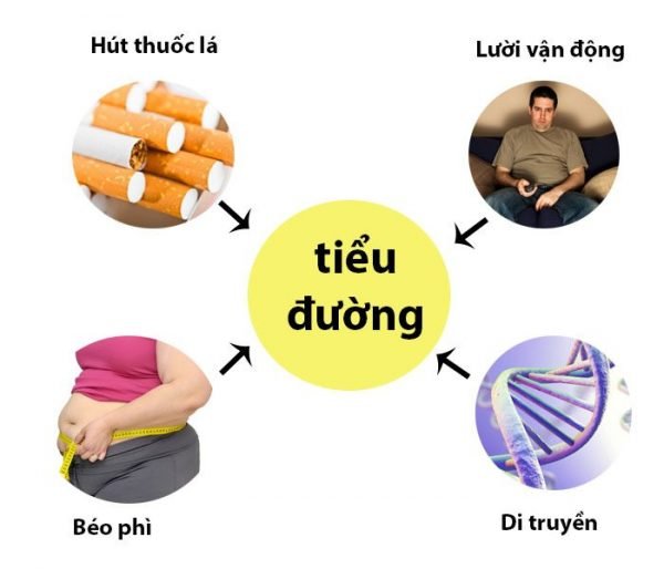 nguyên nhân bệnh tiểu đường - Thiết bị y tế giá gốc