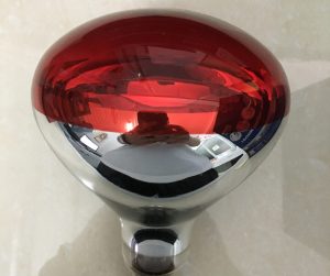 đèn hồng ngoại trị liệu d-lamp 250w - Thiết bị y tế giá gốc