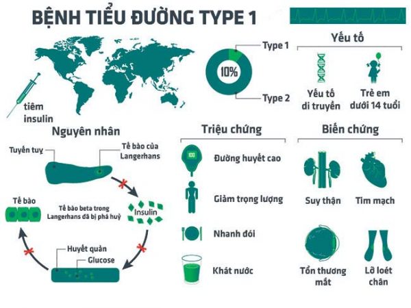 Bệnh tiểu đường type 1 - điều trị bệnh tiểu đường - Thiết bị y tế giá gốc