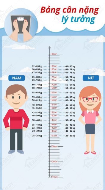 Chỉ số BMI của cơ thể - Thiết bị y tế giá gốc