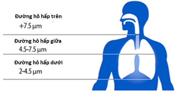 Máy xông khí dung Omron - Thiết bị y tế giá gốc