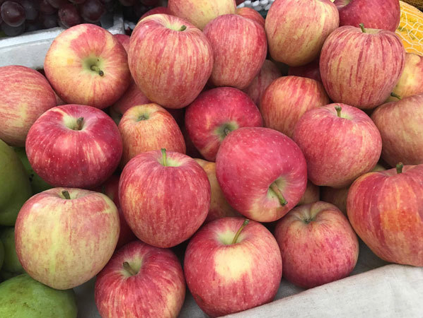 ăn táo mỗi ngày - Thiết bị y tế giá gốc